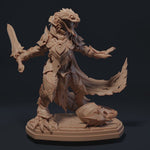 Load and play video in Gallery viewer, The Serpent Templars
