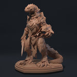 Load and play video in Gallery viewer, The Serpent Templars
