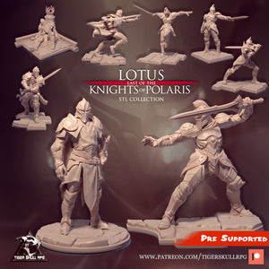 Knights of Polaris - STL Bundle