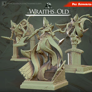 Wraiths of Old - STL Bundle