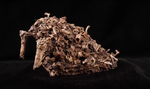 Load image into Gallery viewer, The Scattered Remains STL collection
